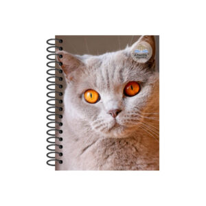 CUADERNO 1/4 OFICIO MATEMATICA 80 HOJAS 5MM DISEÑO ATLANTIK